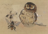 Owl and Bees Humorous painting...