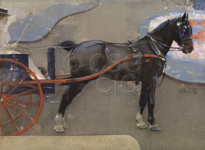 Horse and Cart with Lady Lady in...