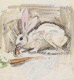 Rabbit Drawing of a white rabbit...