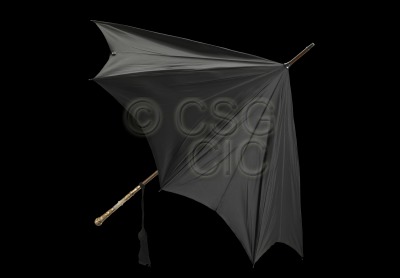 Royal Drooko Woman’s umbrella...